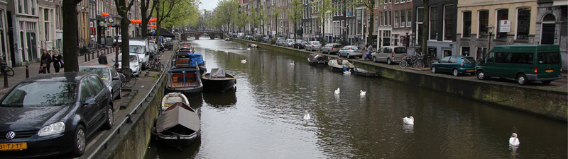 A water canal filled with swans.