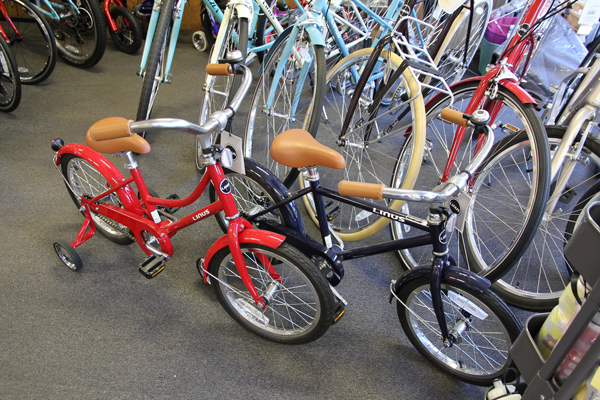 Green Cyclery bike shop in Pearl St.