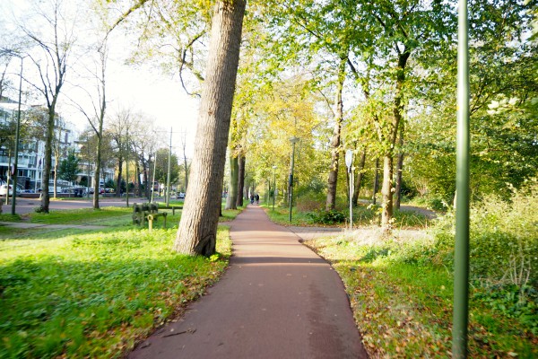 A cycle track in the Hague
