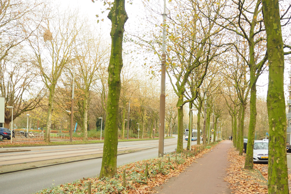 A path for both pedestrians and cyclists outside of Amsterdam.
