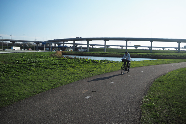 Yes, a bike in a Dutch suburb can get you anywhere like a car.